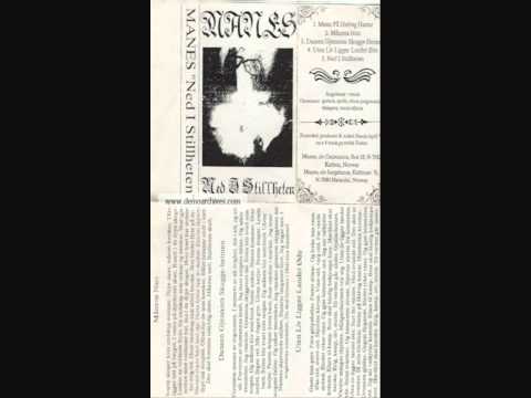 Manes Menn På Helveg Hastar 