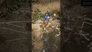 mirror drop while watching @gutekwitek #shorts #poe2 #kalandra