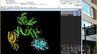 PDB and PyMOL (9 of 11)