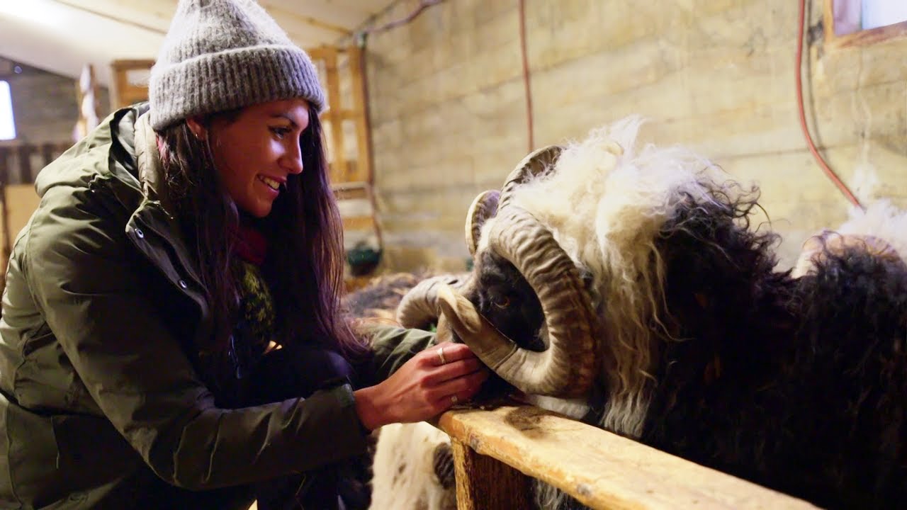 Keeping traditional Icelandic knitting alive