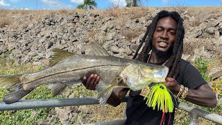 Fishing Spillways for Snook, Strip Bass and Largemouth Bass (Part 1) 🎥🔥🎣‼️