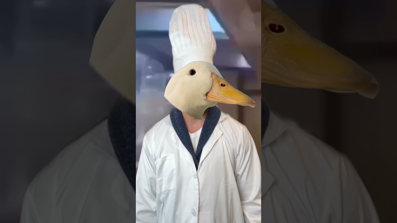 Learning from the best