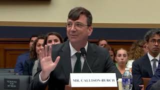 Professor Chris Callison-Burch testifies before Congress that training AI systems is fair use Wealth