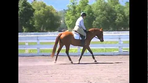 Wrapped in Ribbons - Sold!!!! Congratulations to J...