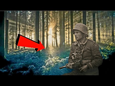 Schatzsuche im SS Wald Sondeln mit dem Metalldetektor an den Stellung