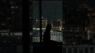 She Is Here &amp; The World Is Quiet #rainfordeepsleep #rest