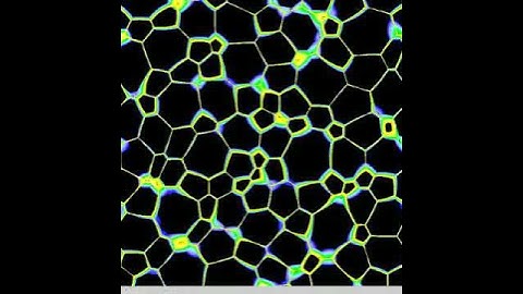 Oscillatory zoning caused by grain growth