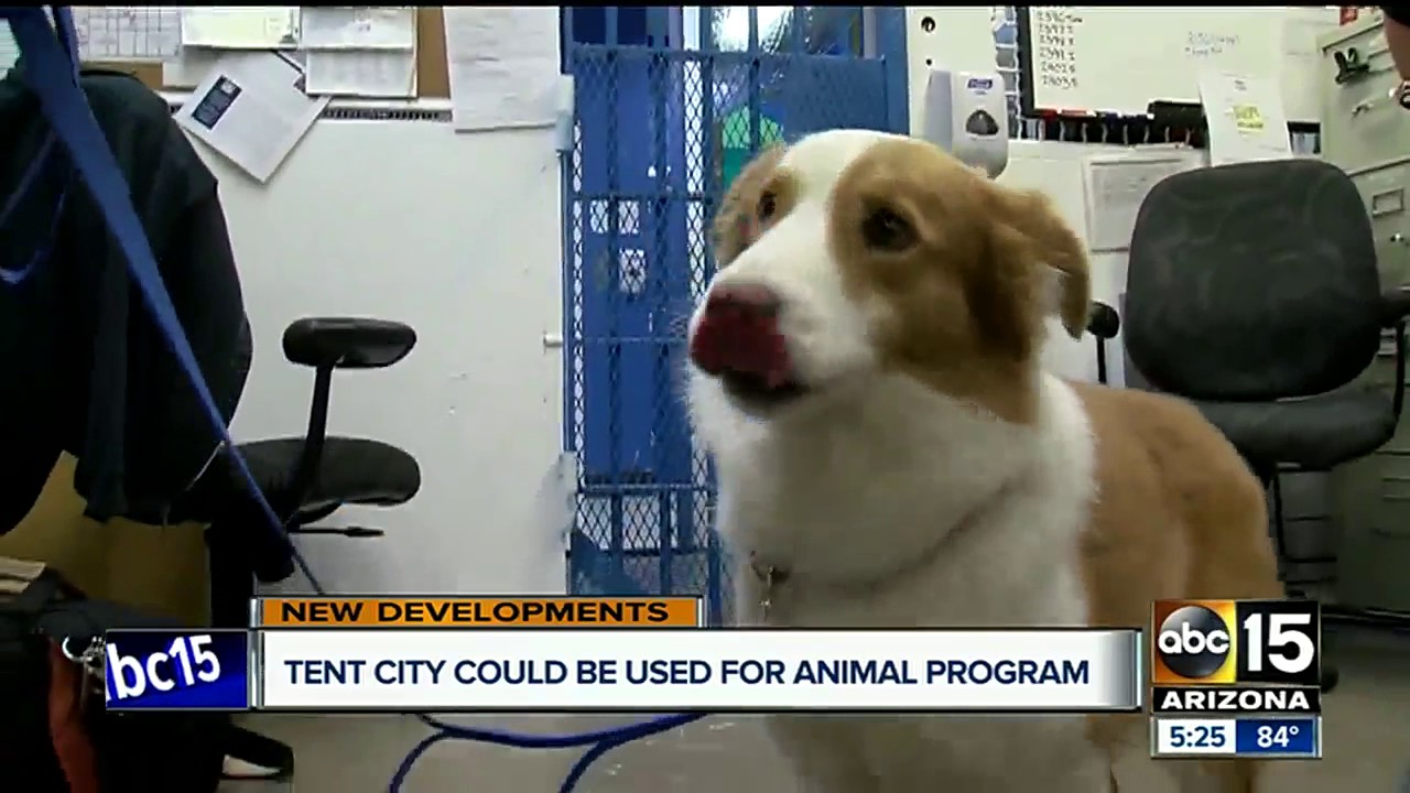 Tent City could be used for an animal program after it's closed