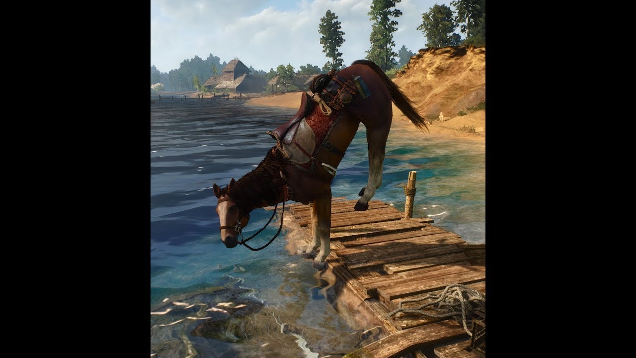 лошадь дикой охоты ведьмак 3. ведьмак 3 нильфгаардский конь. плотва лошадь ведьмака. лошадь дикой охоты ведьмак 3. ведьмак 3 дикая охота плотва.