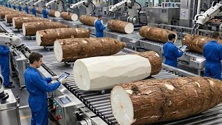 Inside the Largest cassava Factory USA 🇺🇸 | From cassava to cassava flour  Massive Food Production