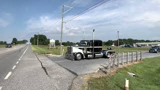 Celebrity Two bad ass looking Peterbilt 359s leaving the keystone diesel nationals Wealth