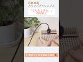 どんなときも。/槙原敬之 弾いてみた カリンバ#shorts