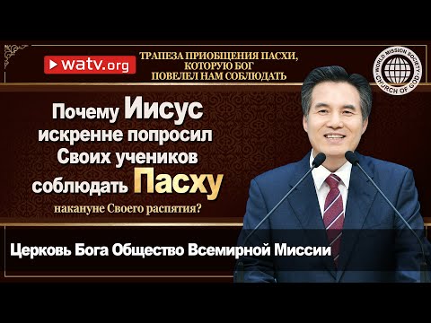 Видео: Високотехнологично палацо: тънкостите на въплъщението