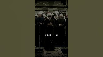 سورة عبس فإذا جاءت الصاخة | القارئ محمد أحمد حسن