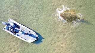Topwater Fishing For Monster Fish?