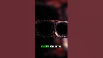 Understanding Microgravity and Space Exploration 🚀