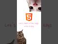 HTML tags with kitty 👀🩷 #cat #frontenddev #html #meme #cute  #coding #catmeme  #frontend