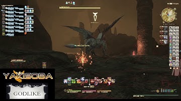 FFXIV HW S Rank Hunts: Senmurv