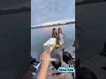 Một Ảnh Màu, Một Ảnh Đen Trắng: Bí Mật Kinh Hoàng Lộ Diện Sau Cú Quét Instagram