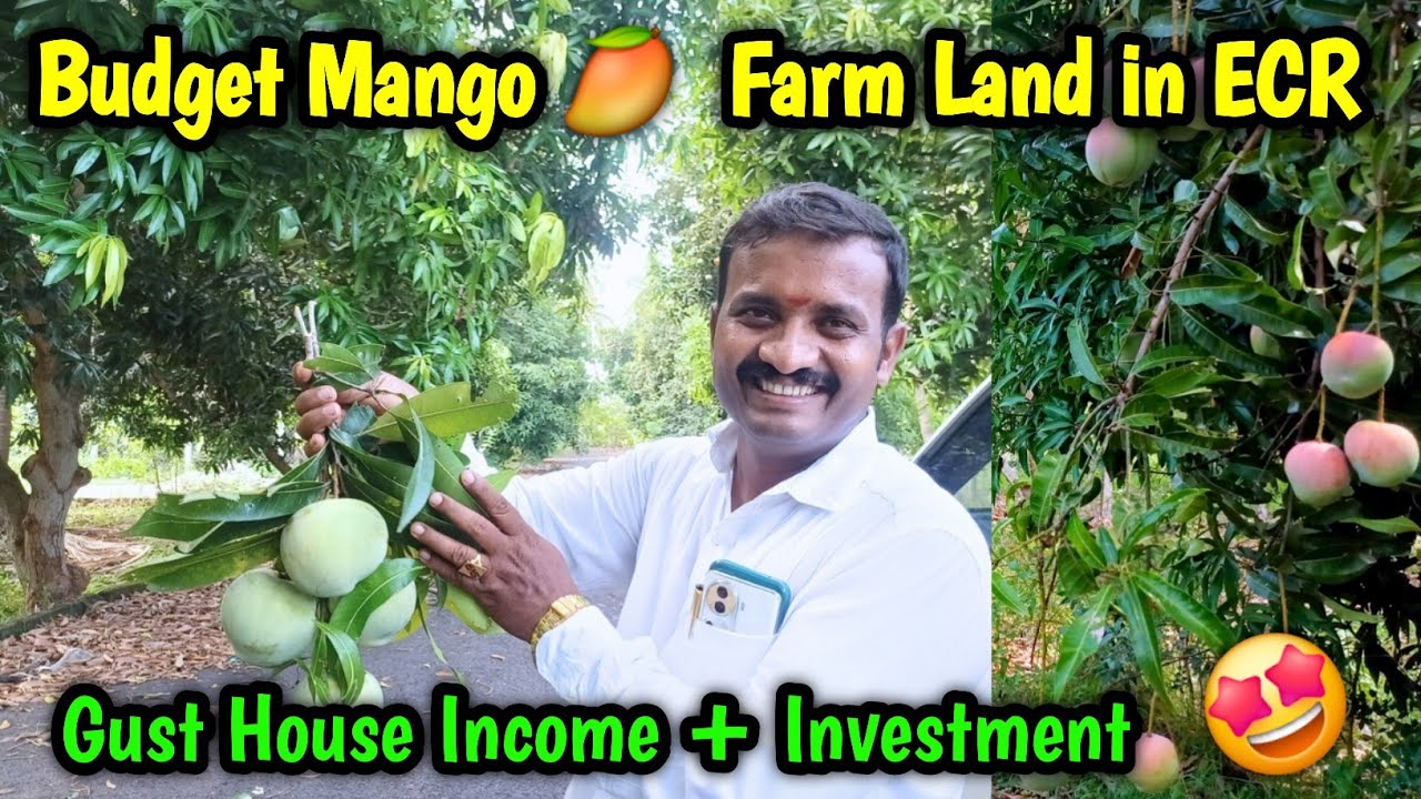 low budget farmland for sale in chennai ecr | farmland for sale | Idea Mani