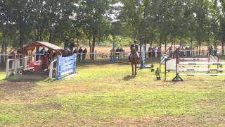 Graf-Bontó Újfehértó B2 20130928-SOLD to DUBAI