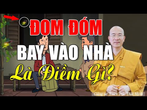Video Thầy Thái Minh BẬT MÍ ĐOM ĐÓM BAY VÀO NHÀ là Điềm TỐT... - youtube