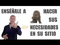 Cómo Enseñar a un Cachorro a hacer sus NECESIDADES (Método INFALIBLE)