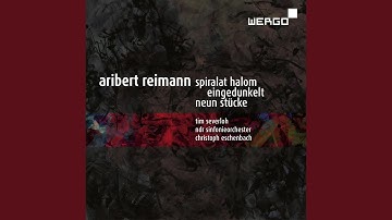 Eingedunkelt: VII. Eingedunkelt