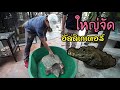 บุกฟาร์มสัตว์แปลก Mini Zoo  EP. 1/3