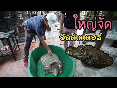 บุกฟาร์มสัตว์แปลก Mini Zoo EP. 1/3