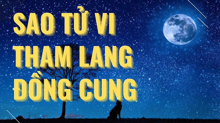 Đồng cung và đối cung trong tử vi là gì năm 2024