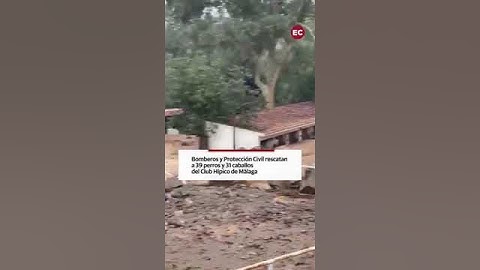 El agónico rescate de unos caballos en Málaga durante la DANA
