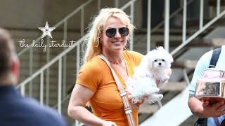 Britney Spears Is Seen Out In Public For The First Time Since Explosive Memoir Release