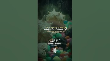 سورة النمل #راحة_نفسية  #اكسبلور #lifeisbutadream #ترند #haveitoldyoulatelythatiloveyou