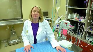 Menomonee Falls Animal Hospital and Exotic Pet Care Tour: 262-781-5277
