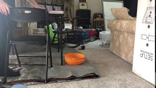 Brick Drop Reference Video Profile