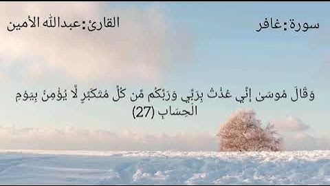 ما تيسر من سورة غافر .. بصوت القارئ عبدالله الأمين .. 🎧🎤.