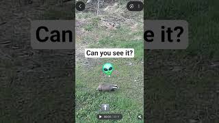 Noticed this on my security cam video 👽 Please comment your thought