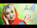 Persian Music آهنگ شاد نمی چینم گلی که خار داره دلبر با خوانندگی فرشید حاضری