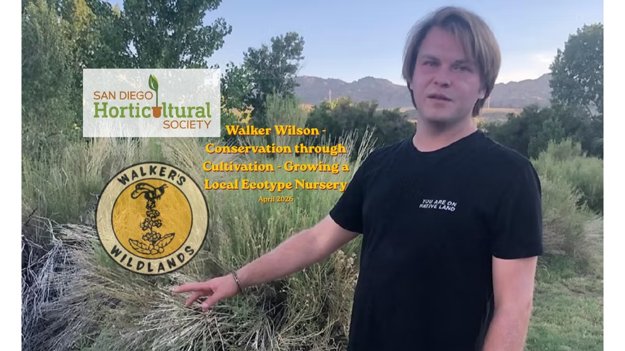 Walker Wilson's Conservation