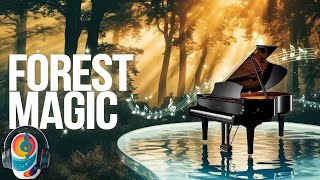 The Enchanted Forest: A Journey through Magic and Melody