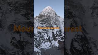 Husn Tera Tauba Tauba Tauba Vicky Kaushal