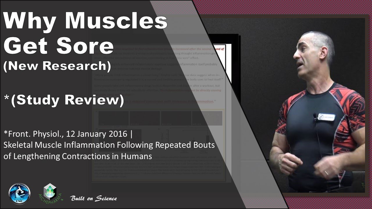 Why Muscles Get Sore (New Research) - YouTube