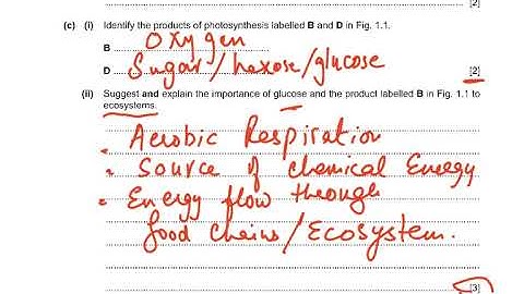 9700/W23/41 VIDEO ONE Q1 Q2 EXPLAINED