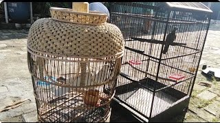 🌟Mesra Bangeeet ... 🌟DUET ROMANTIC Cipt. RHOMA IRAMA [ COVER ] by Nafas Hijrah 