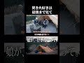 冬キャンプの焚き火が最高すぎる #焚火台 #キャンプ #焚き火