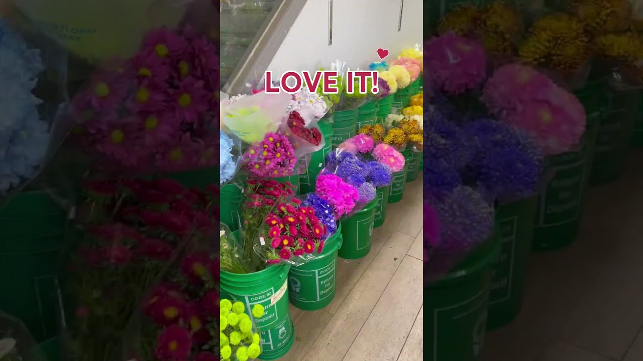 Flower shops in North York | Toronto