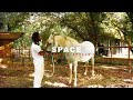 Mr. Marley x Apollo G  - Space