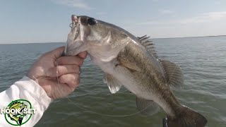 HOT TEXAS SUMMER Bass Fishing Lewisville Lake and Crappie Fishing 35 Bridge Pilons!