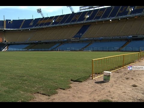 La Bombonera con drenaje y césped nuevo para el inicio del torneo